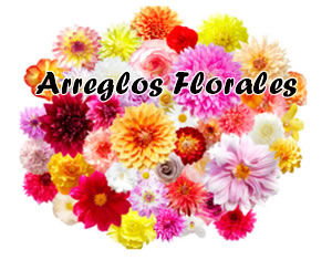 Flores Día de La Madre [2022] Bogota ECONÓMICAS- a Domicilio