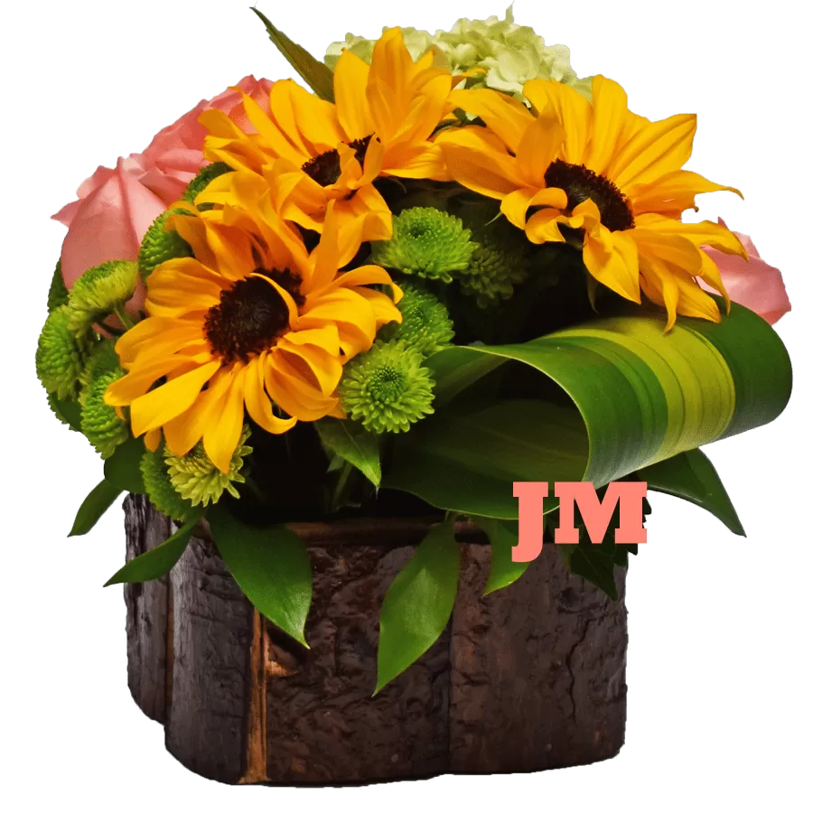 Sunflower Arrangement: 3 Sunflowers + Roses + Hortensias Bogota Colombia  Delivery.