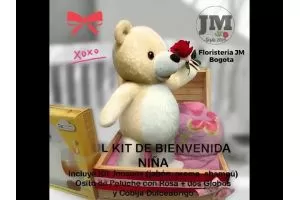 Special Gift for Newborn Baby Bogota Colombia