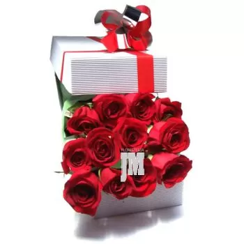 Regalos para el día de San Valentín para ella, rosas de San Valentín para  mujer, regalos de San Valentín para esposa, regalos del día de San Valentín